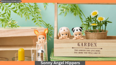 Sonny Angel Hippers