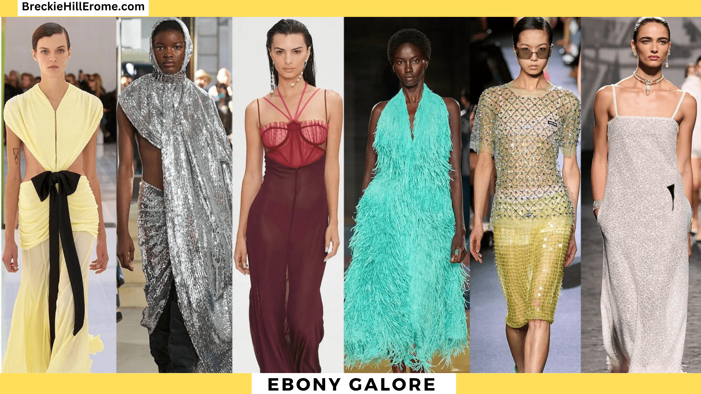 Ebony Galore: Top 10 Must-See Collections | Breckiehillerome