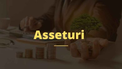 asseturi