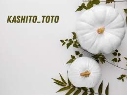 kashito_toto