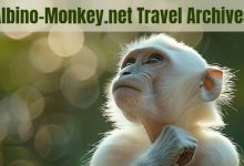 albino-monkey.net travel archives