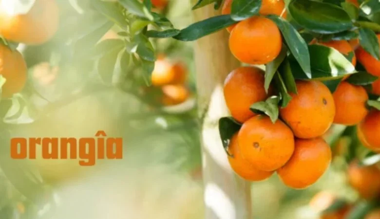 orangîa