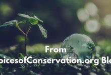 the voicesofconservation.org blog