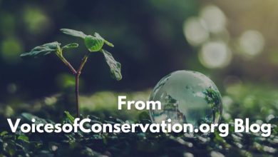 the voicesofconservation.org blog