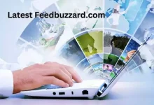 feedbuzzard com latest