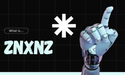 Znxnz: Unraveling the Mystery Behind This Unique Term